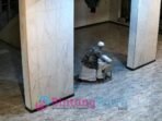 IMG-20250101-WA0004